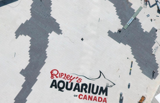 Ripley's Aquarium Flynn Toronto